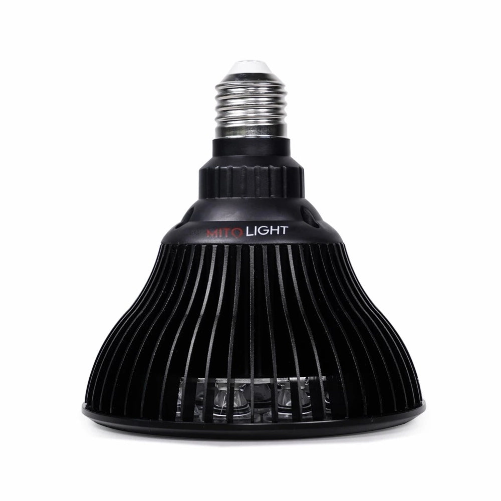 MITO LIGHT® Bulb 4.0