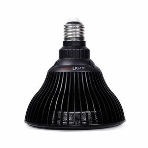 MITO LIGHT® Bulb 4.0