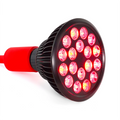 MITO LIGHT Bulb 5.0