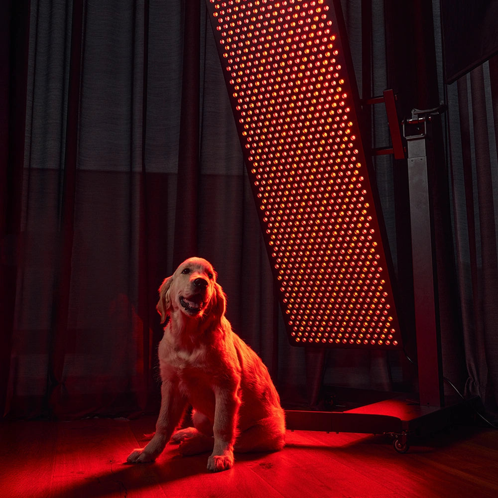 MITO LIGHT Master 5.0