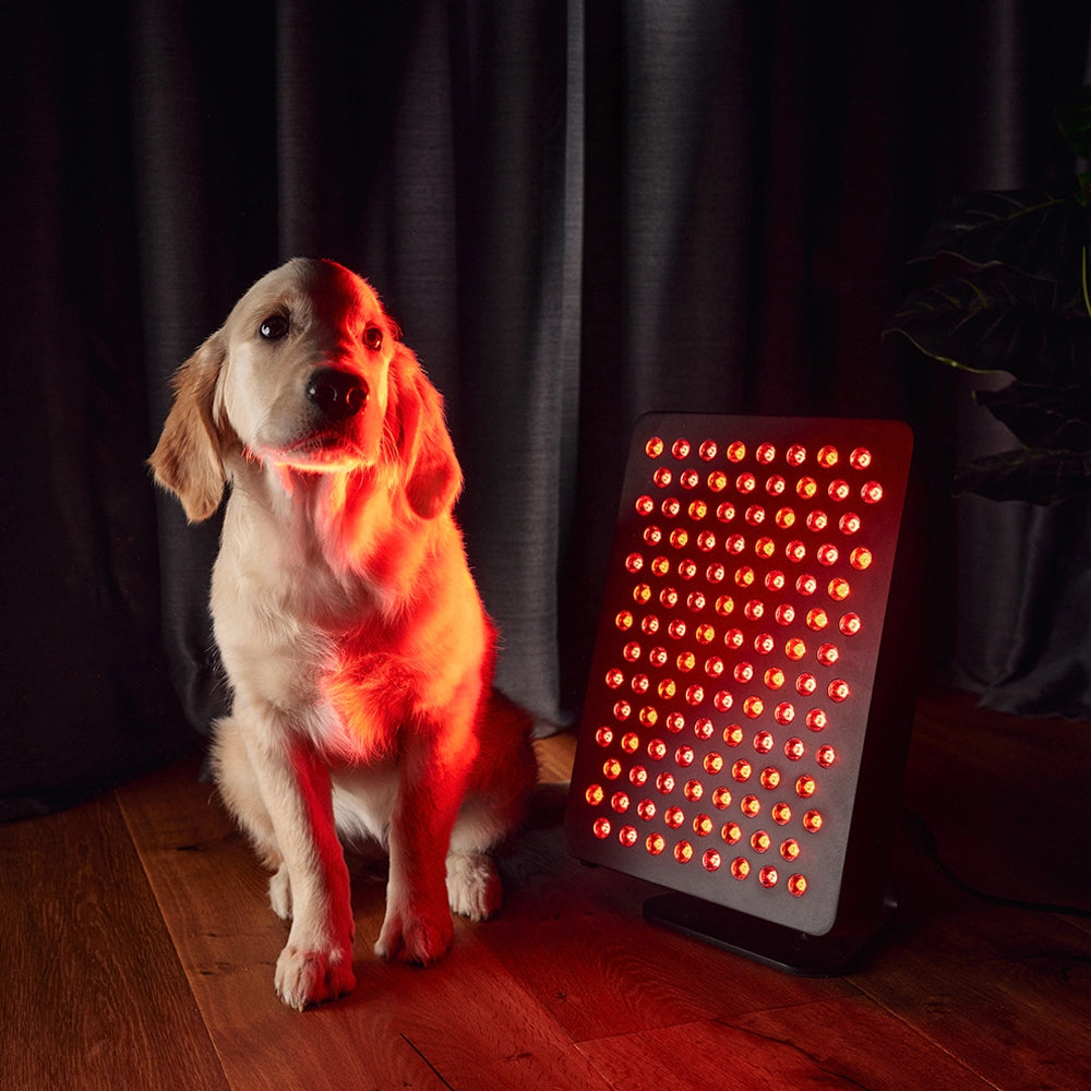 MITO LIGHT Starter 5.0