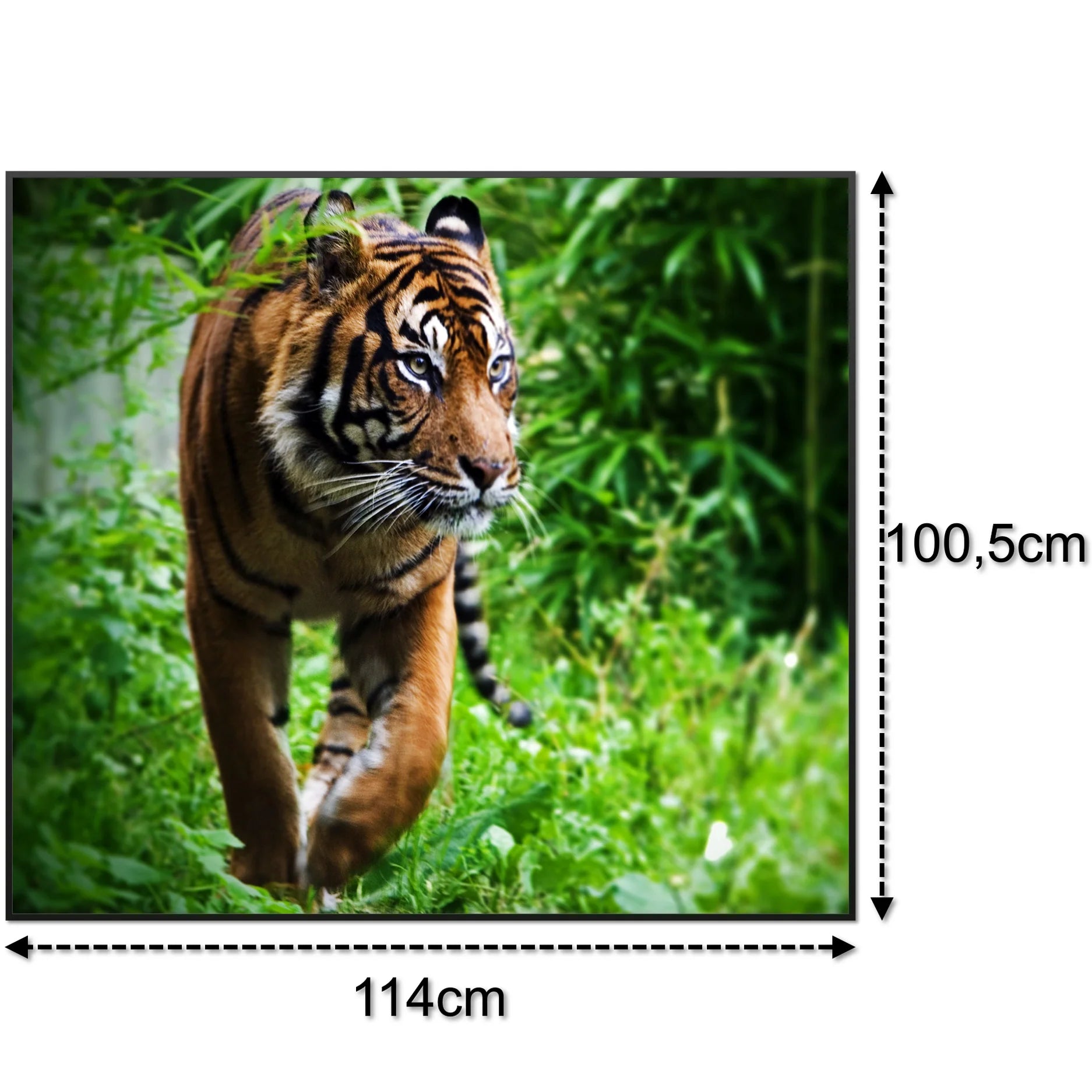 SLIKA IC panel (MOTIV 024: tigar)