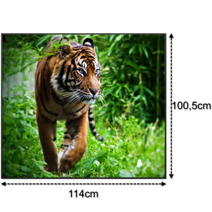 SLIKA IC panel (MOTIV 024: tigar)