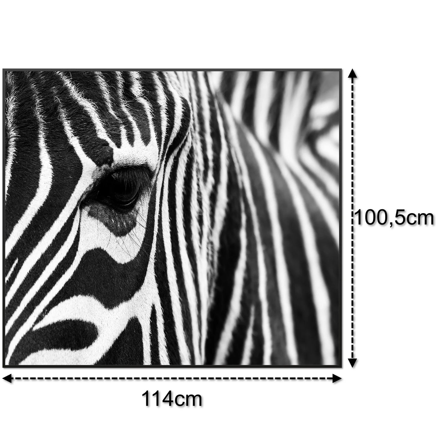 SLIKA IC panel (MOTIV 050: zebra)