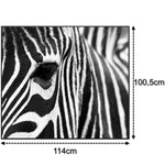 Učitajte sliku u preglednik galerije, SLIKA IC panel (MOTIV 050: zebra)
