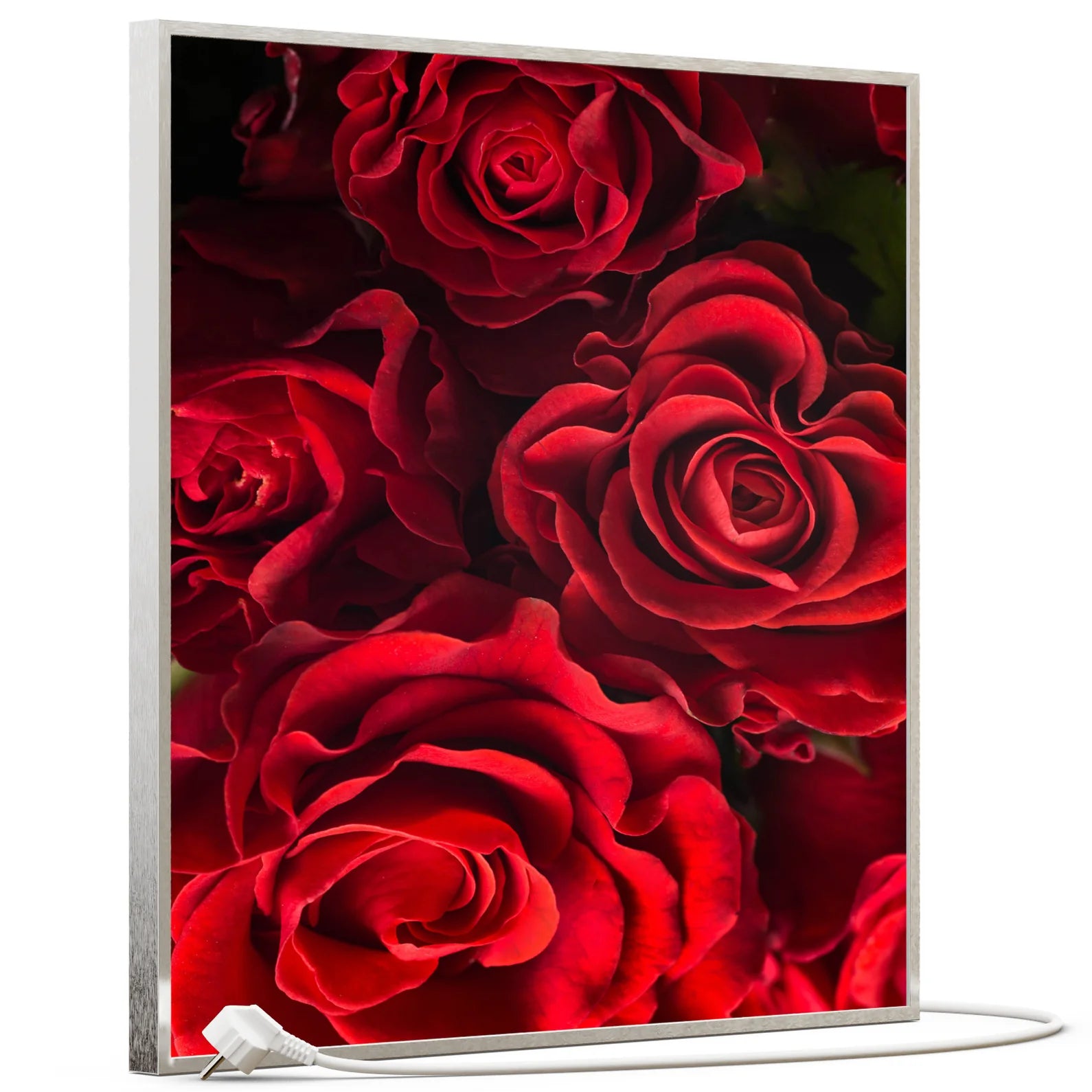 SLIKA IC panel (MOTIV 056H: crvene ruže)