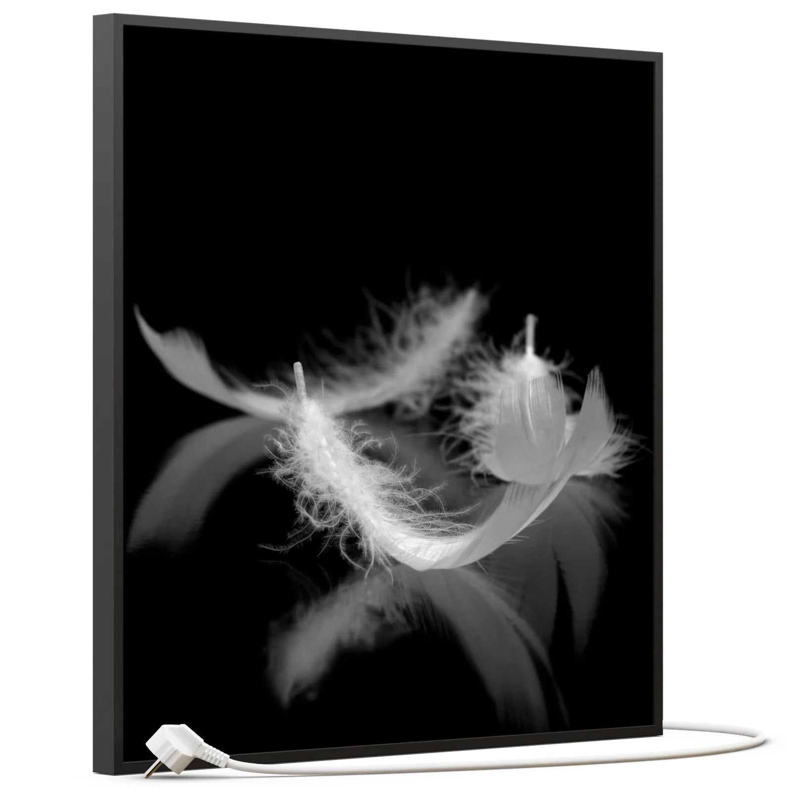 SLIKA IC panel (MOTIV 018: perje crno bijelo)