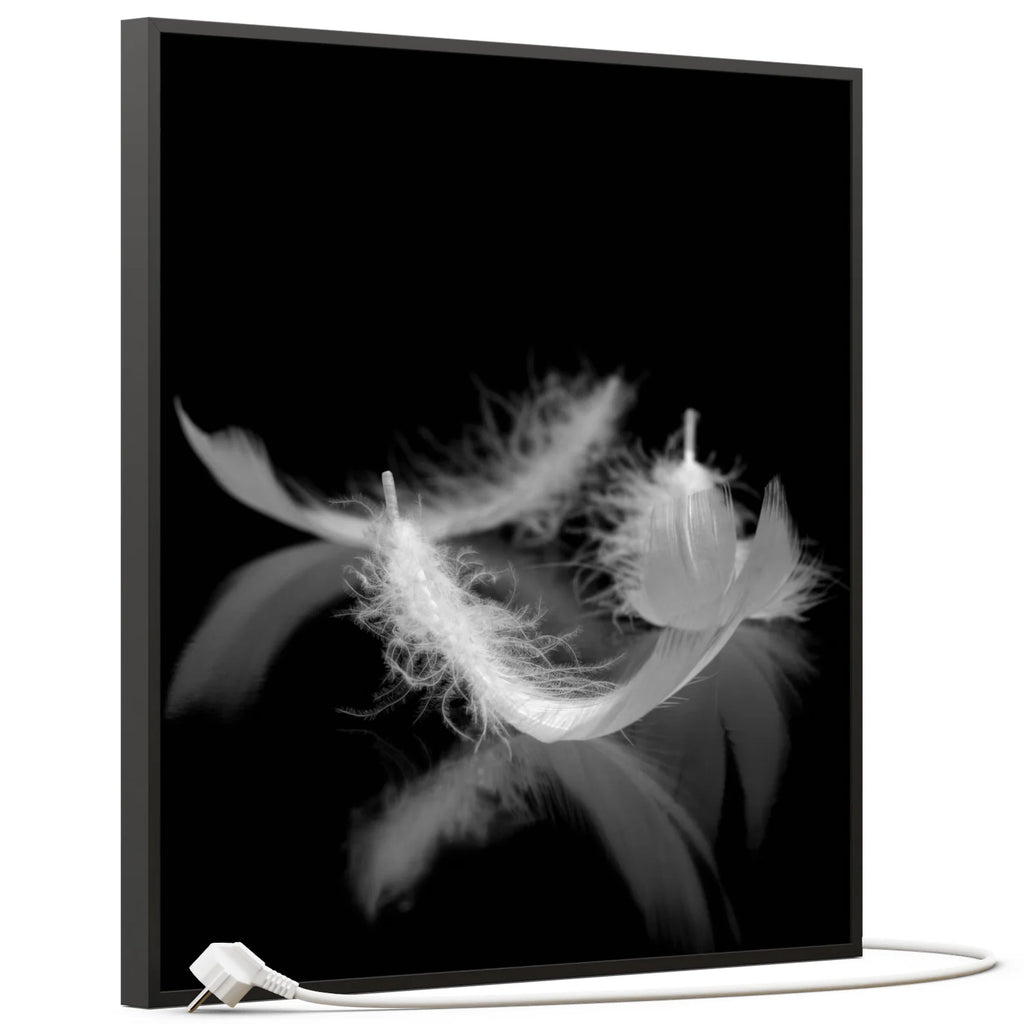 SLIKA IC panel (MOTIV 018: perje crno bijelo)