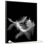 Učitajte sliku u preglednik galerije, SLIKA IC panel (MOTIV 018: perje crno bijelo)
