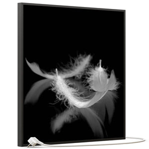 SLIKA IC panel (MOTIV 018: perje crno bijelo)