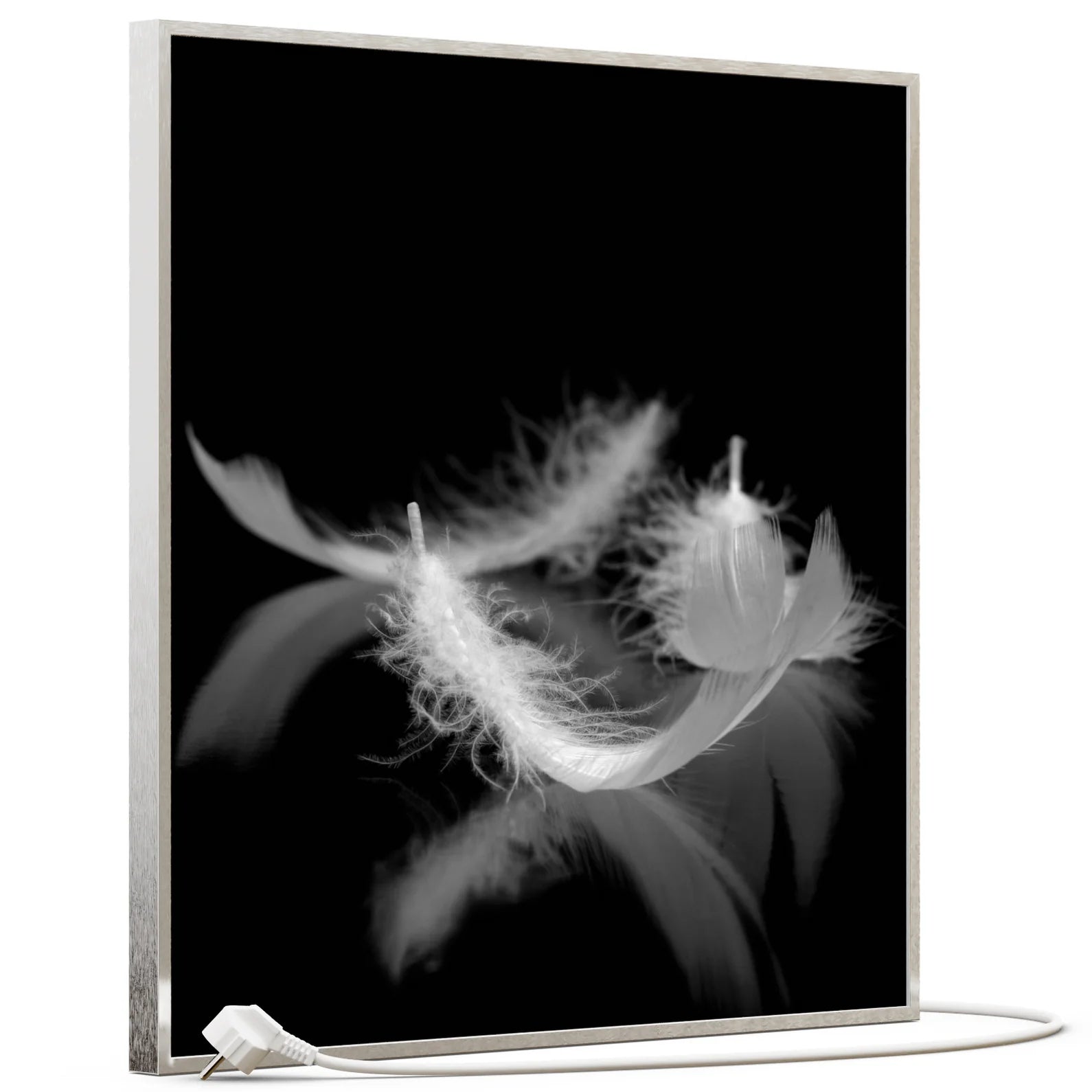 SLIKA IC panel (MOTIV 018: perje crno bijelo)