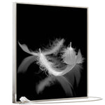 Učitajte sliku u preglednik galerije, SLIKA IC panel (MOTIV 018: perje crno bijelo)
