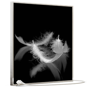 SLIKA IC panel (MOTIV 018: perje crno bijelo)