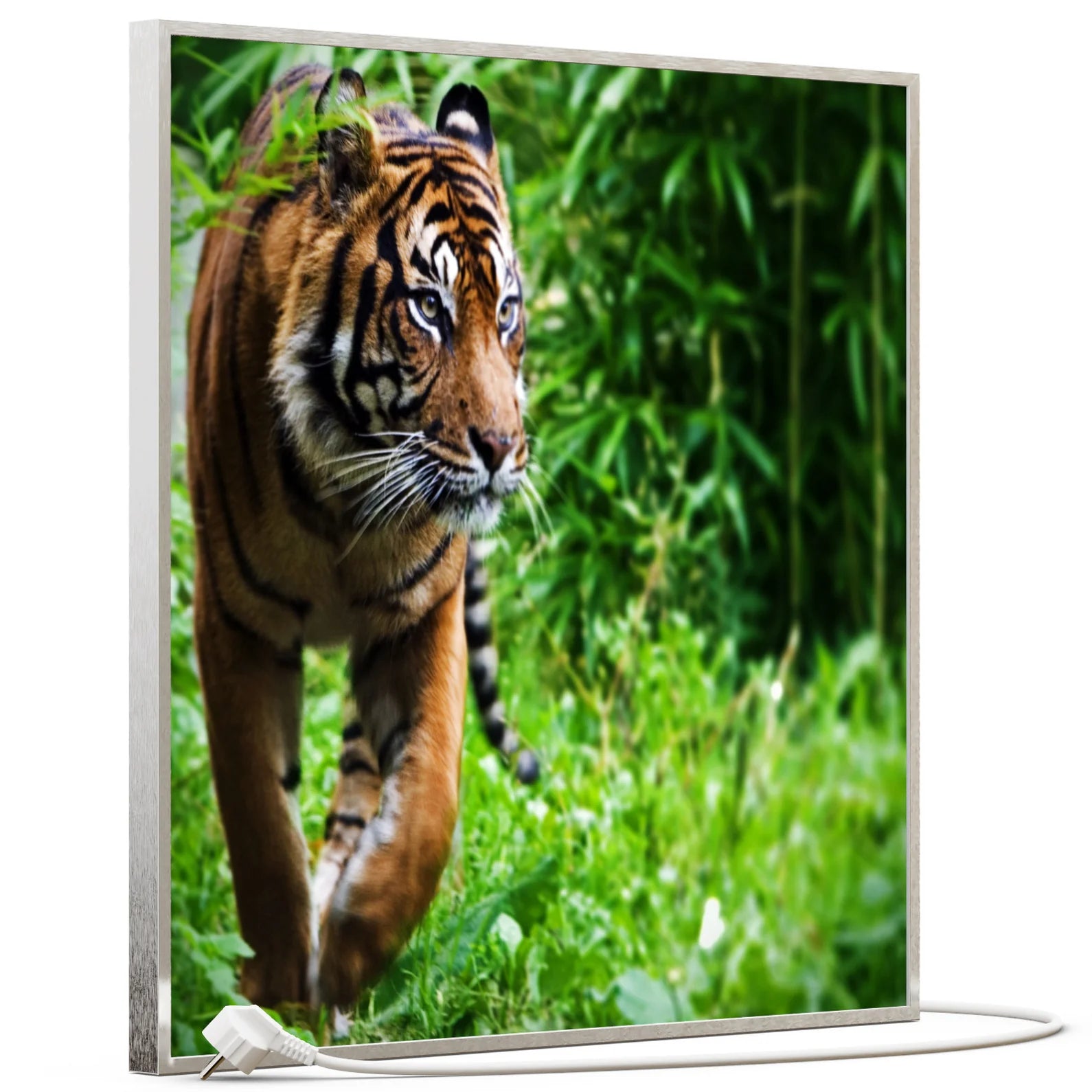 SLIKA IC panel (MOTIV 024: tigar)