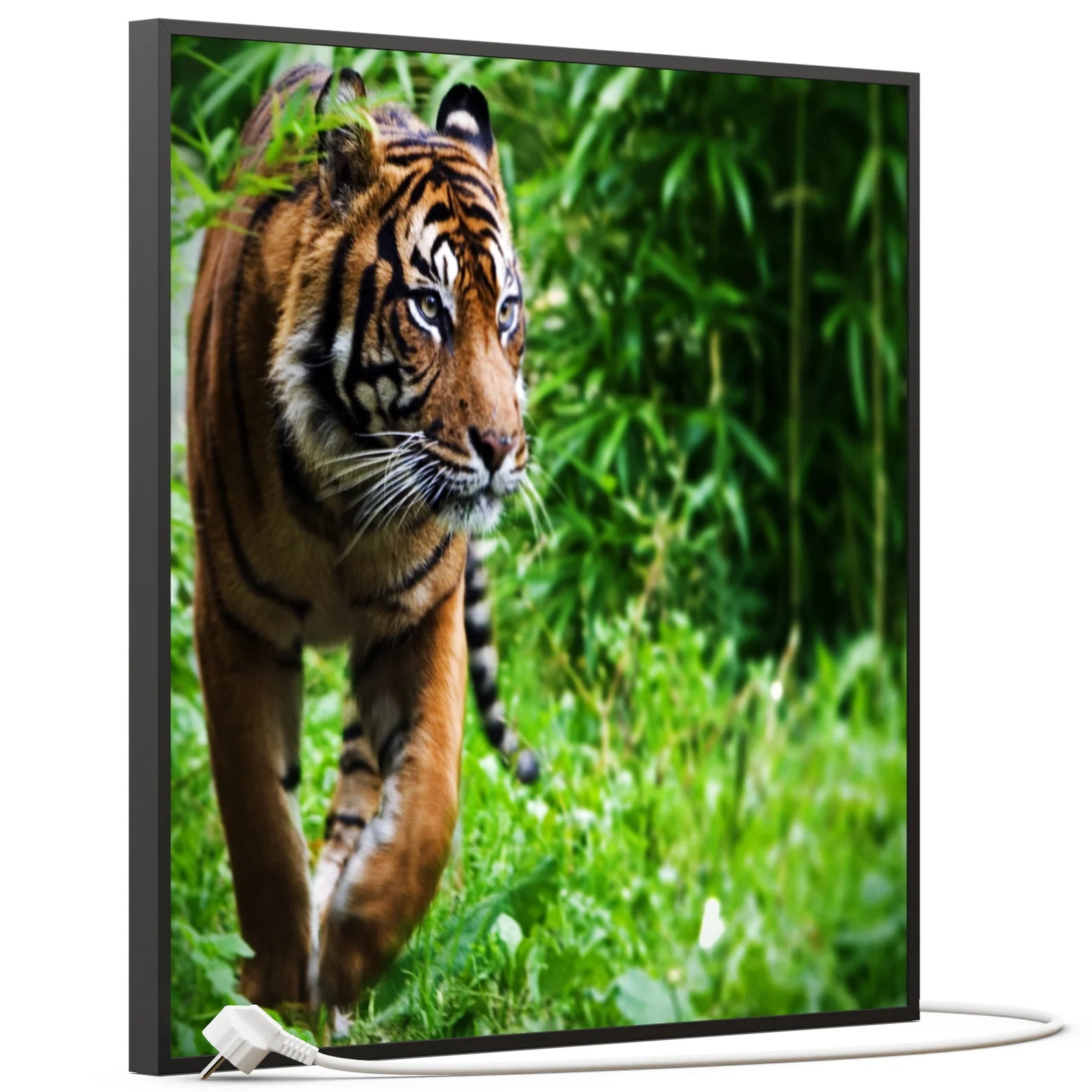 SLIKA IC panel (MOTIV 024: tigar)