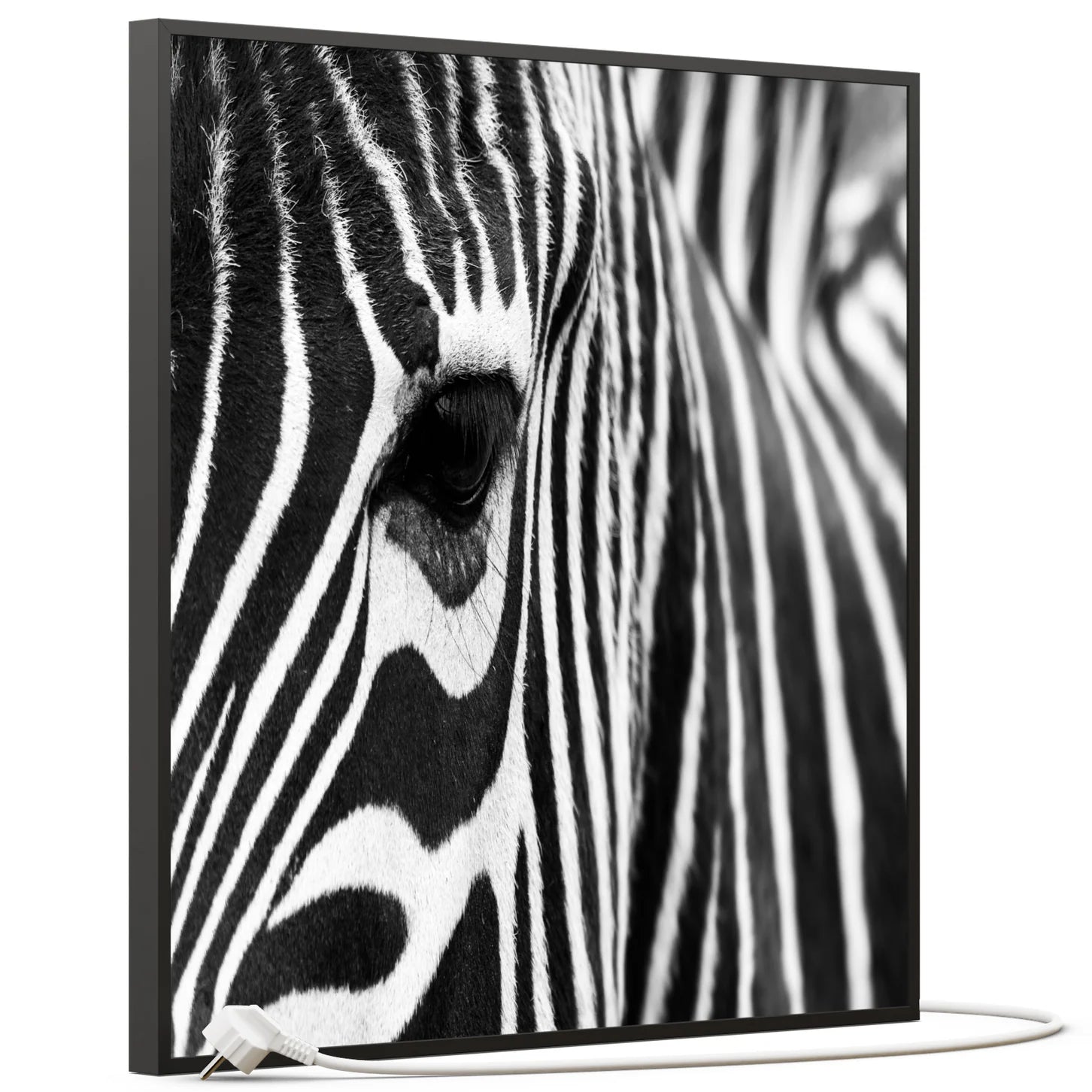SLIKA IC panel (MOTIV 050: zebra)