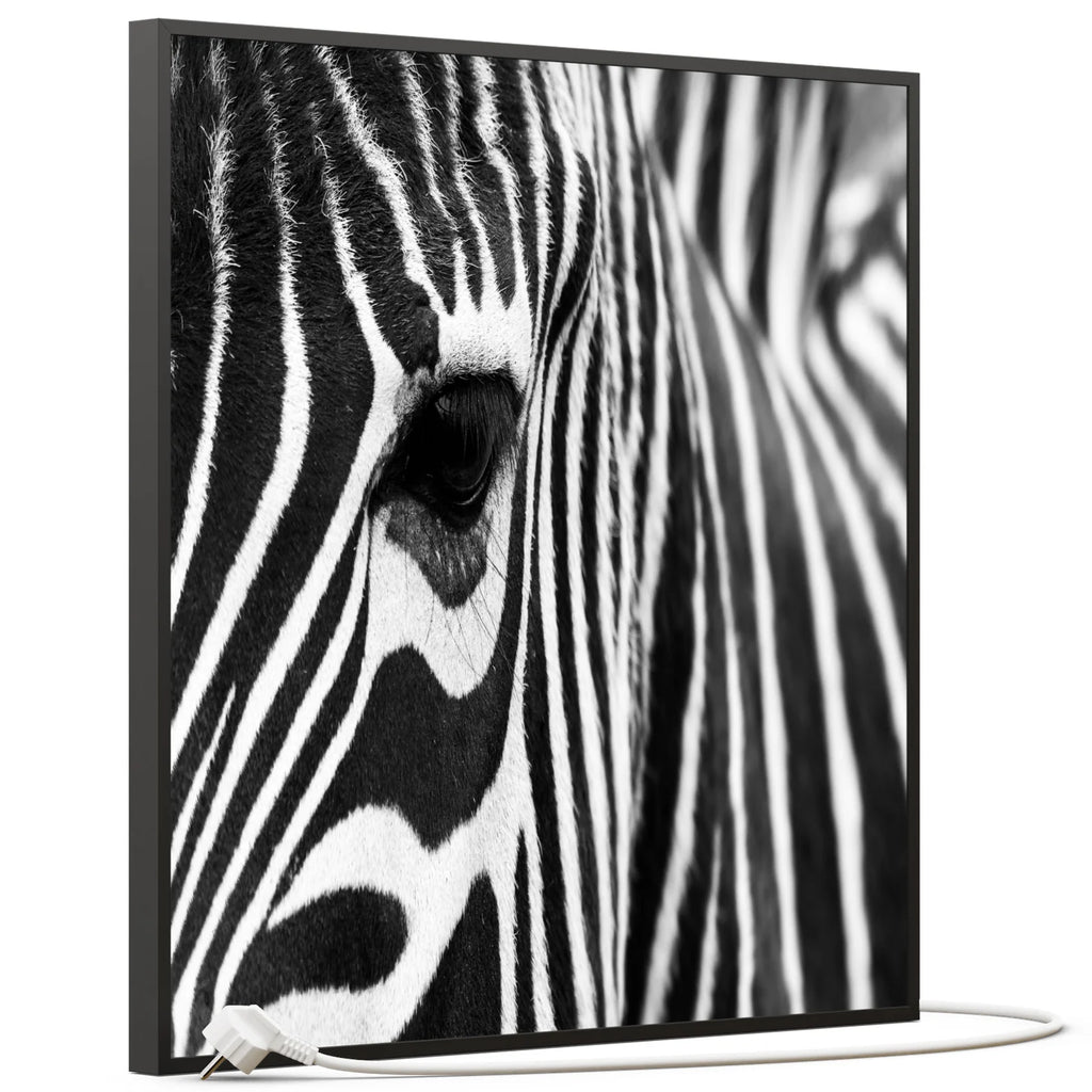 SLIKA IC panel (MOTIV 050: zebra)