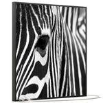 Učitajte sliku u preglednik galerije, SLIKA IC panel (MOTIV 050: zebra)
