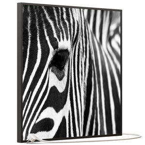 SLIKA IC panel (MOTIV 050: zebra)