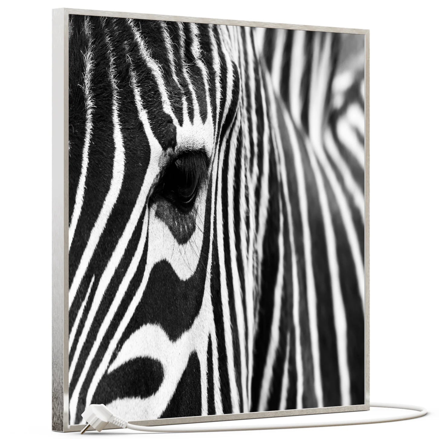 SLIKA IC panel (MOTIV 050: zebra)