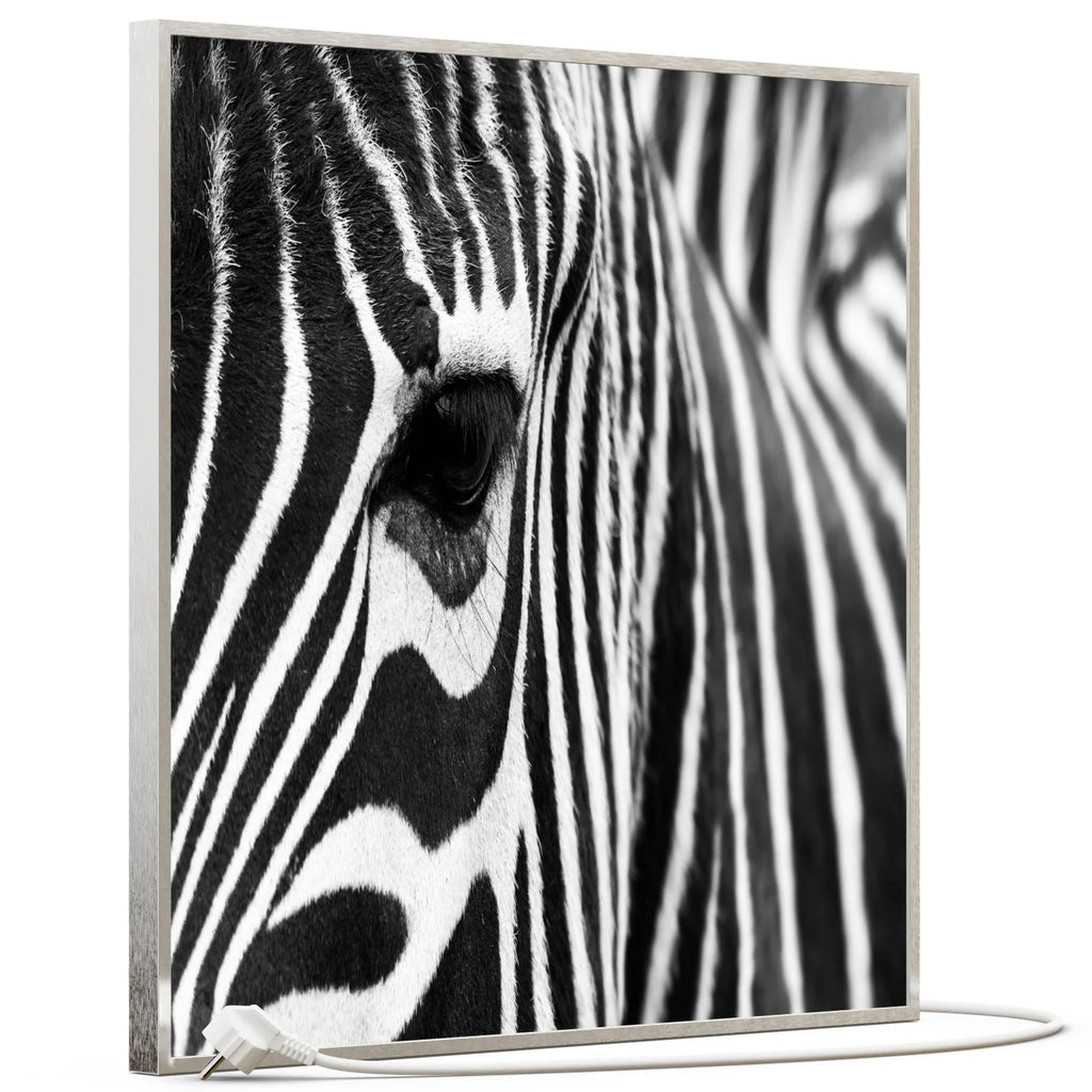 SLIKA IC panel (MOTIV 050: zebra)