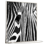 Učitajte sliku u preglednik galerije, SLIKA IC panel (MOTIV 050: zebra)
