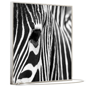 SLIKA IC panel (MOTIV 050: zebra)