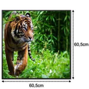 SLIKA IC panel (MOTIV 024: tigar)