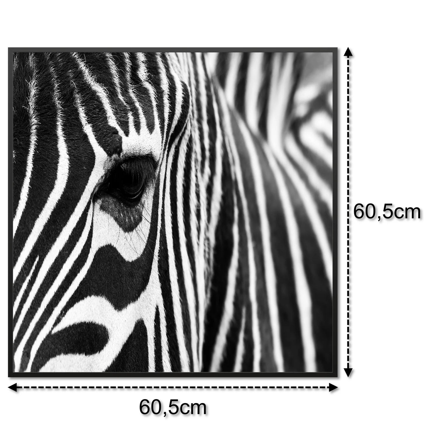 SLIKA IC panel (MOTIV 050: zebra)
