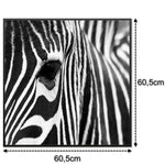 Učitajte sliku u preglednik galerije, SLIKA IC panel (MOTIV 050: zebra)
