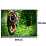Učitajte sliku u preglednik galerije, SLIKA IC panel (MOTIV 024: tigar)
