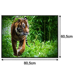 SLIKA IC panel (MOTIV 024: tigar)