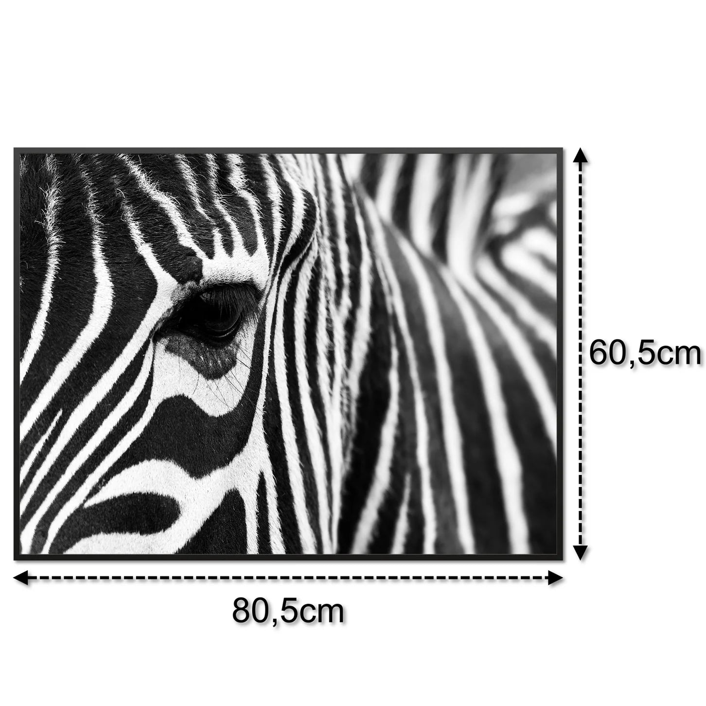 SLIKA IC panel (MOTIV 050: zebra)