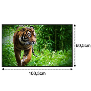 SLIKA IC panel (MOTIV 024: tigar)