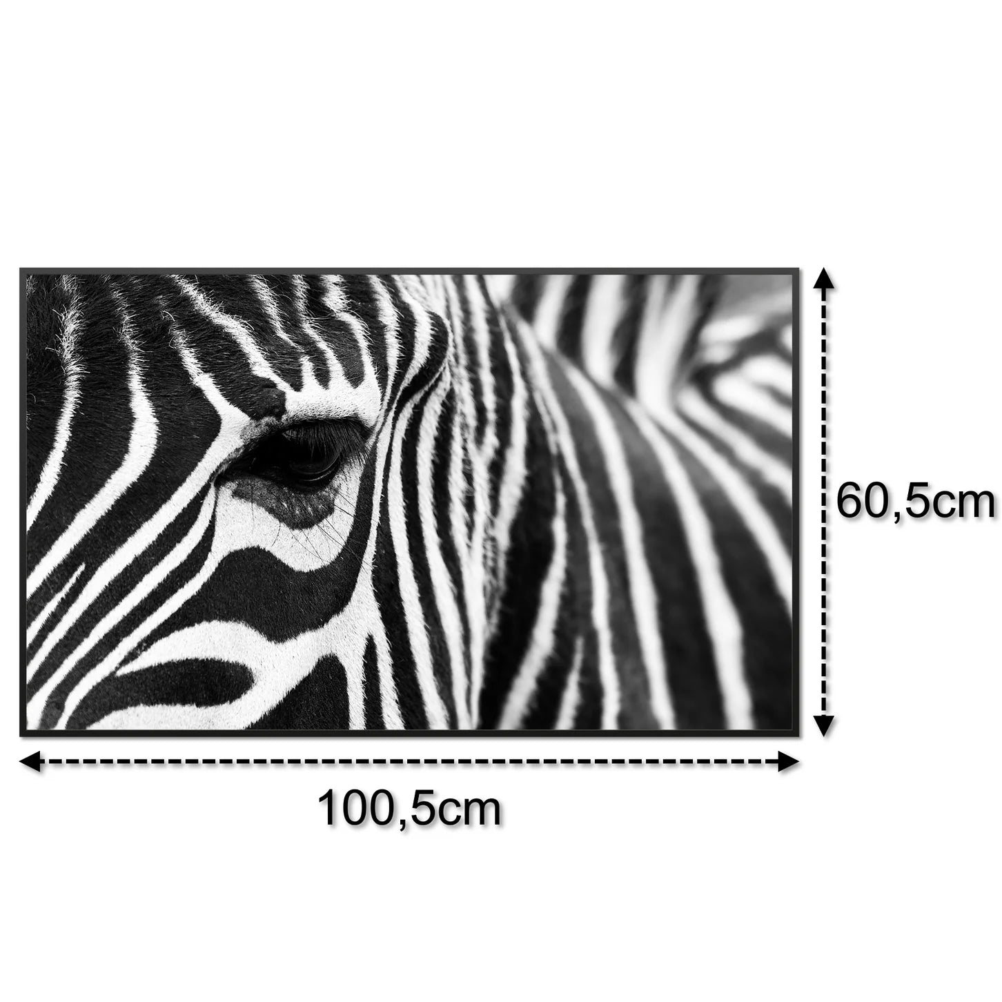 SLIKA IC panel (MOTIV 050: zebra)