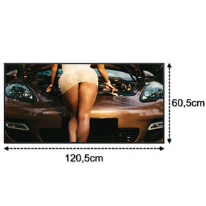SLIKA IC panel (MOTIV 064: auto servis)