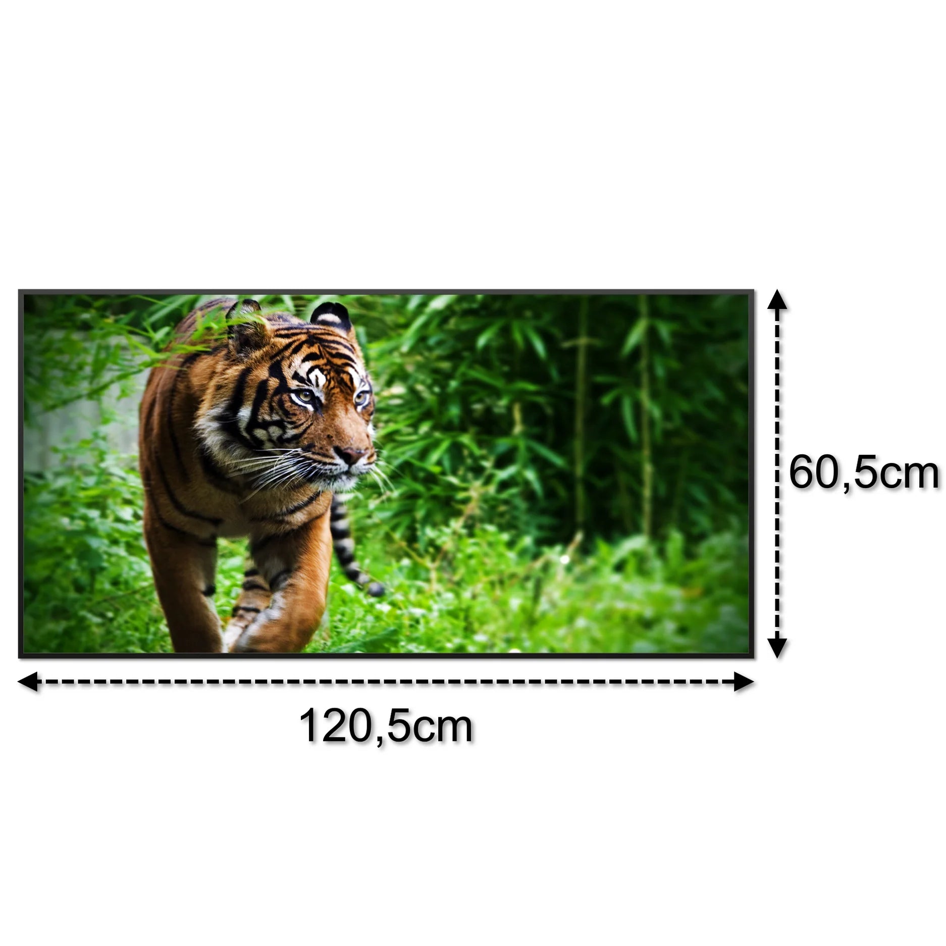 SLIKA IC panel (MOTIV 024: tigar)