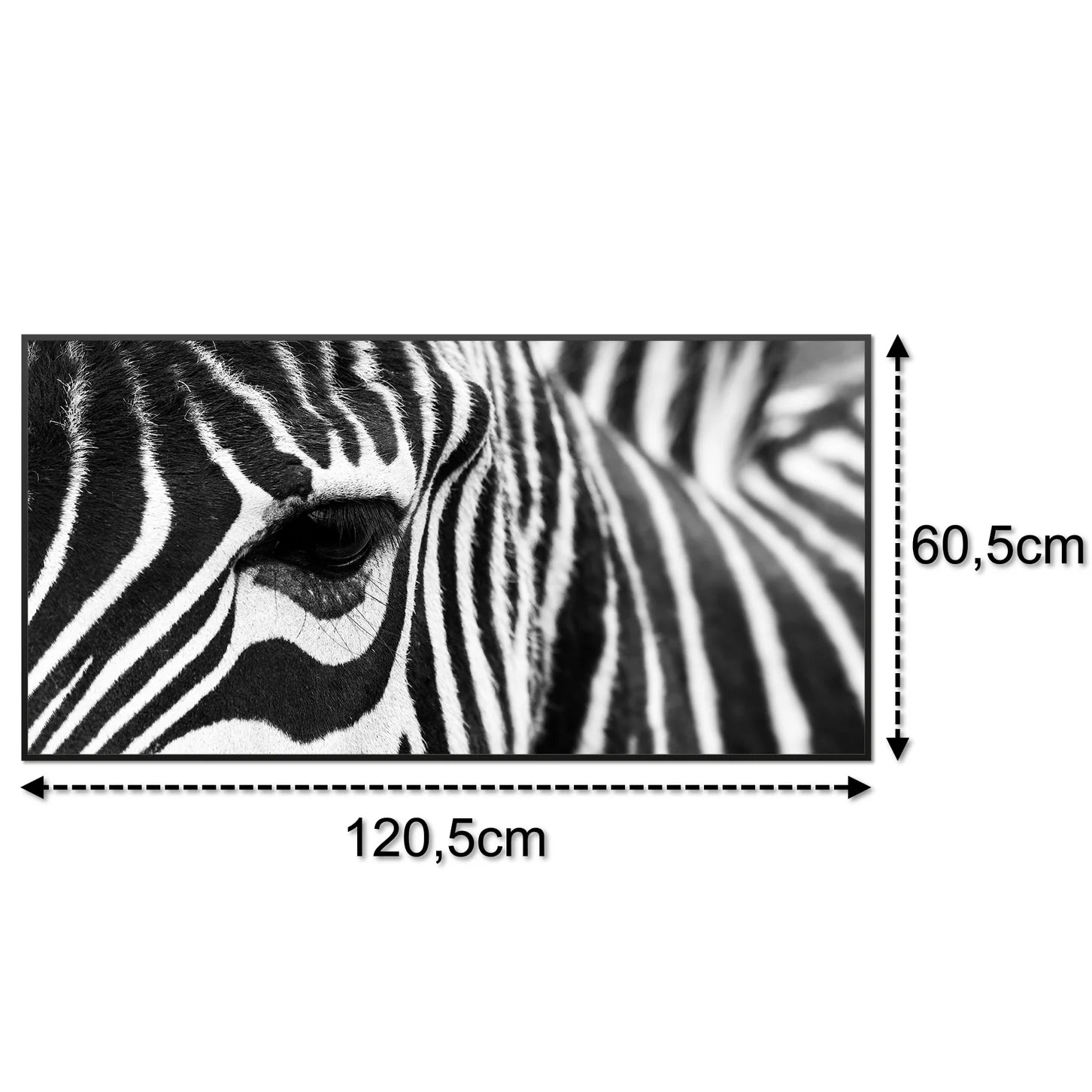 SLIKA IC panel (MOTIV 050: zebra)