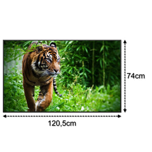 SLIKA IC panel (MOTIV 024: tigar)