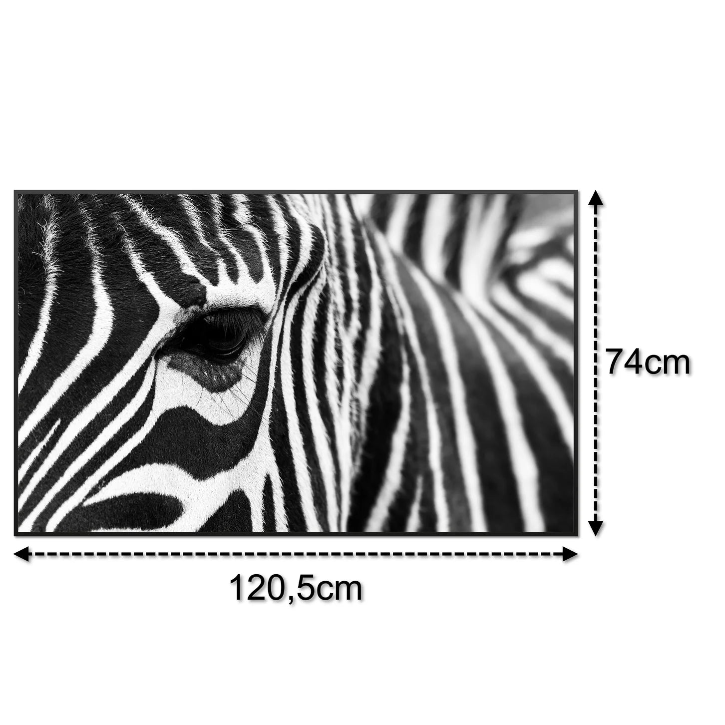 SLIKA IC panel (MOTIV 050: zebra)