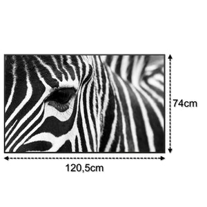 SLIKA IC panel (MOTIV 050: zebra)