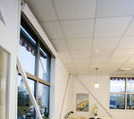 Učitajte sliku u preglednik galerije, THERMOPLUS EC radijacijska grijalica 0,9 kW

